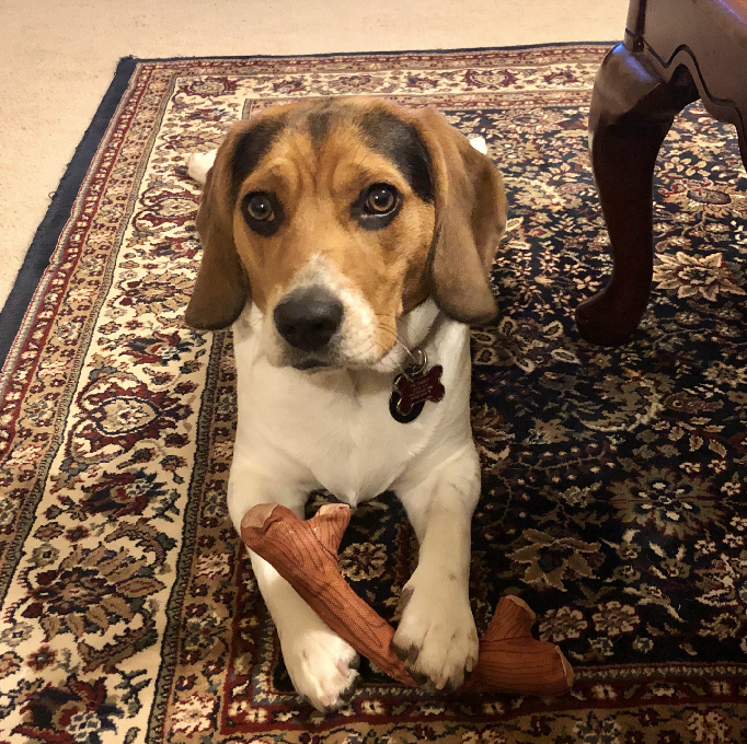 Charlie